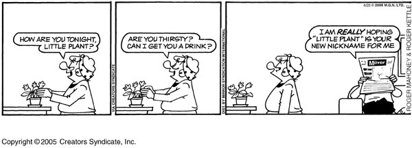 andycapp